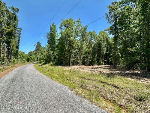 1 Mcnair Springs Road, Magee, MS, 39111 | Card Image