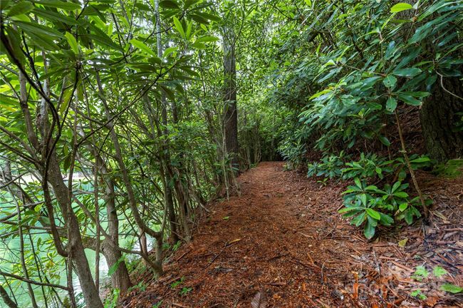 Hiking Trails | Image 32