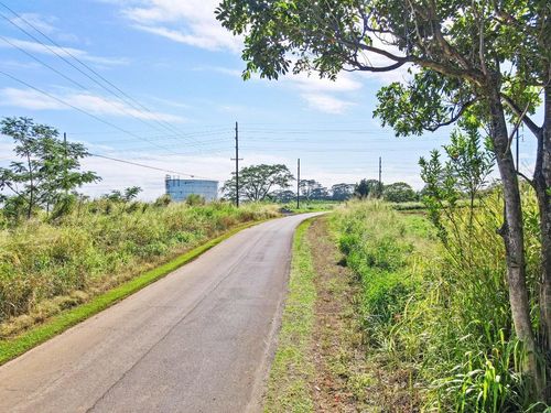 83-x- Orchards At Pepeekeo, PEPEEKEO, HI, 96783 | Card Image