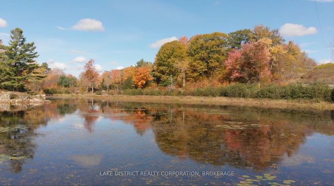 0 Bob's Lake Rd, Home with 0 bedrooms, 0 bathrooms and null parking in Tichborne ON | Image 6