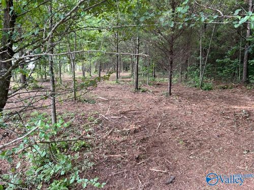 6.21 acres N Greenway Dr, Trinity, AL, 35673 | Card Image