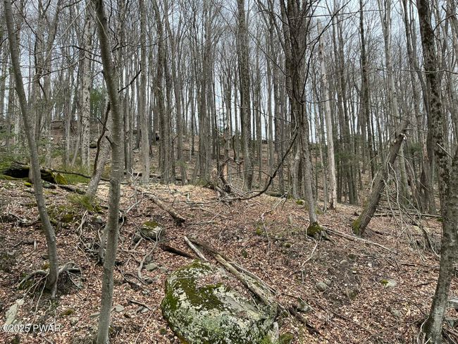 Lot View | Image 7