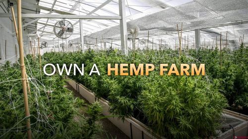 500 County Road 175, Chimney Rock, CO, 81122-9682 | Card Image