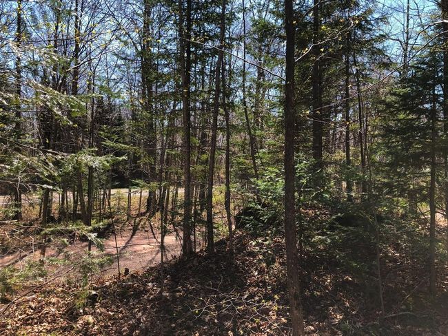 Lot 35 N Alpine Dr, Home with 0 bedrooms, 0 bathrooms and null parking in Upson WI | Image 20