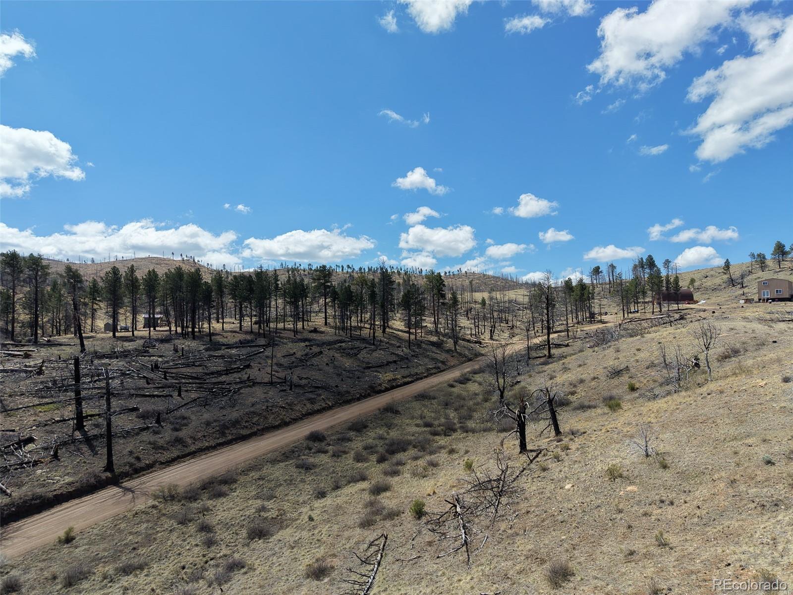 Land in Fort Garland 3