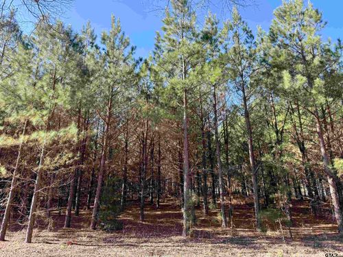 Tract 8 Hwy 271, Gladewater, TX, 75647 | Card Image