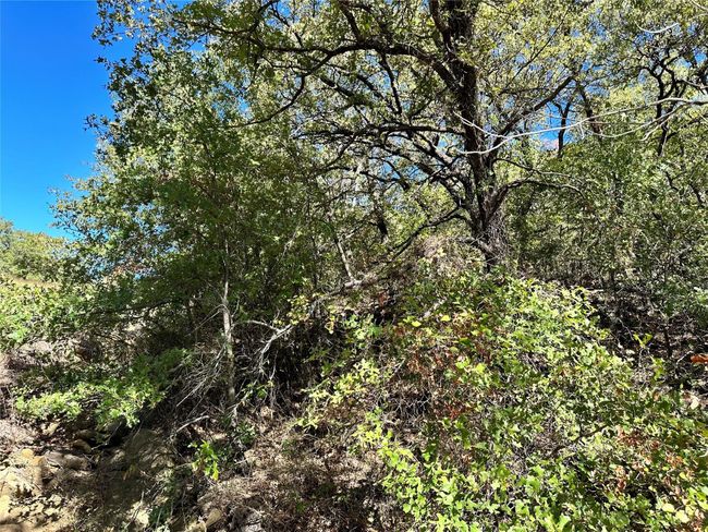 View of nature with a forest view | Image 12