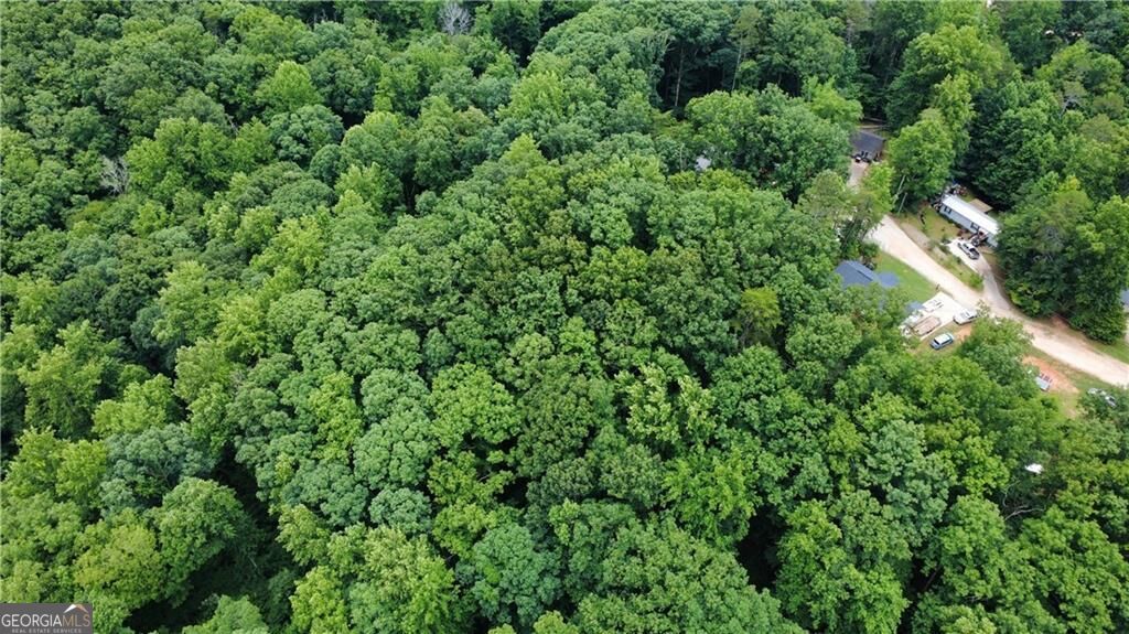 Land in Gainesville 5