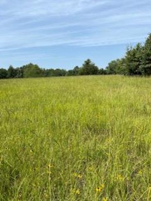 TBD County Road 2610, Tennessee Colony, TX, 75861 | Card Image