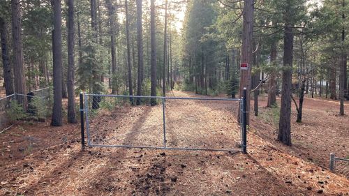 20022 Hudson St, Burney, CA, 96013-4211 | Card Image