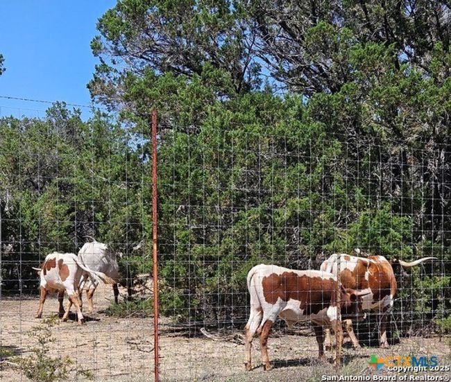 860 Brookside Dr, House other with 3 bedrooms, 2 bathrooms and null parking in Spring Branch TX | Image 32