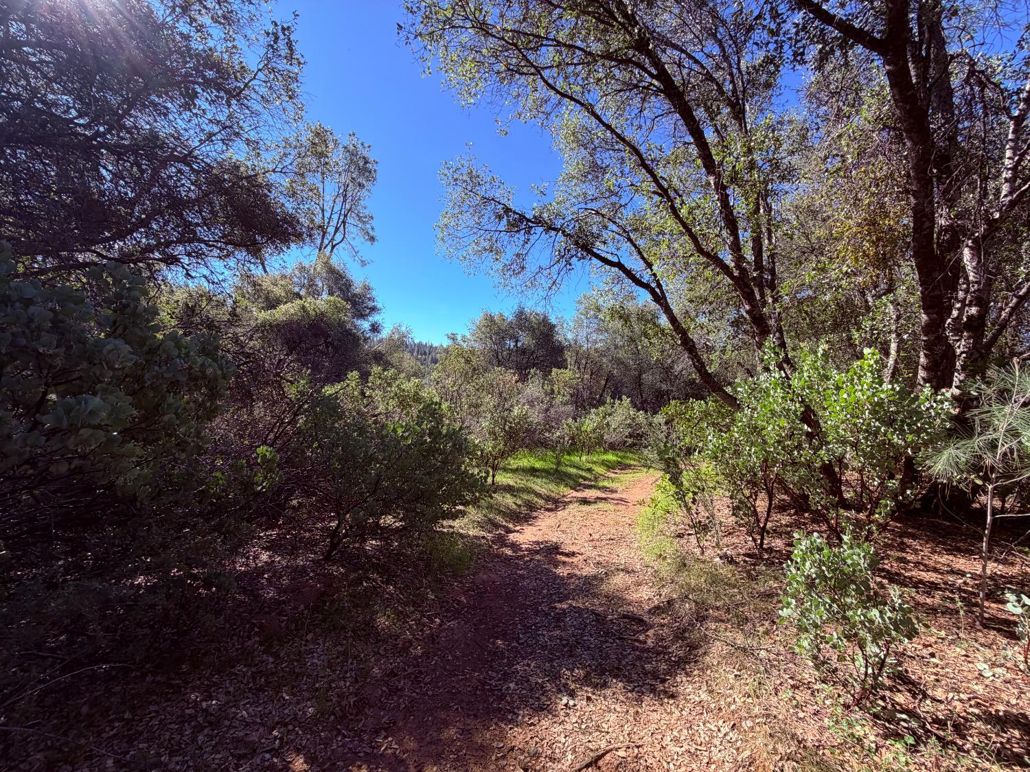 Land in Somerset 2