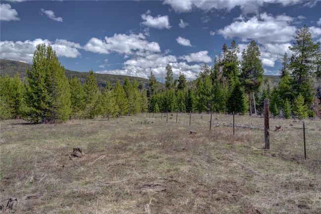 View of local wilderness featuring a forest view | Image 7