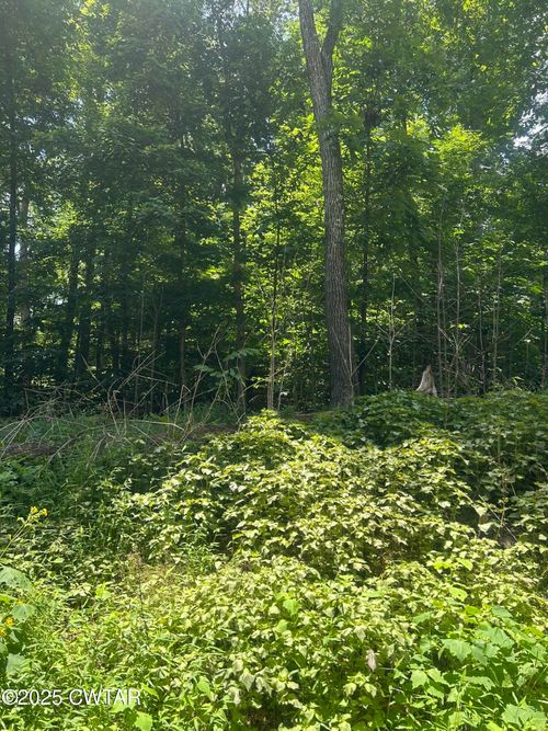 00 Cedar Ln, Sugar Tree, TN, 38380 | Card Image