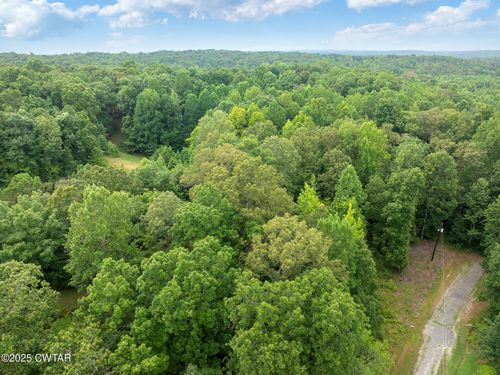255 Jason Hollow Rd, Cedar Grove, TN, 38321 | Card Image