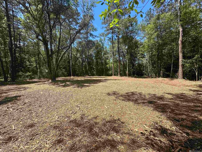 23547 Heritage Acres Ln, Home with 0 bedrooms, 0 bathrooms and null parking in Robert LA | Image 4