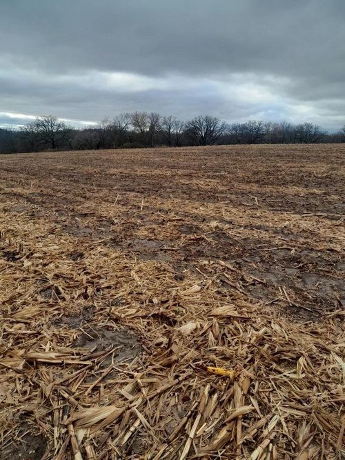 30.82 Acres Major Lane, PLATTEVILLE, WI, 53818 | Card Image