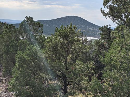 lot 76 Dolly Drive, Vernon, AZ, 85940 | Card Image