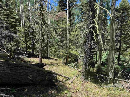 Lot 374A Vail Loop, Angel Fire, NM, 87710 | Card Image