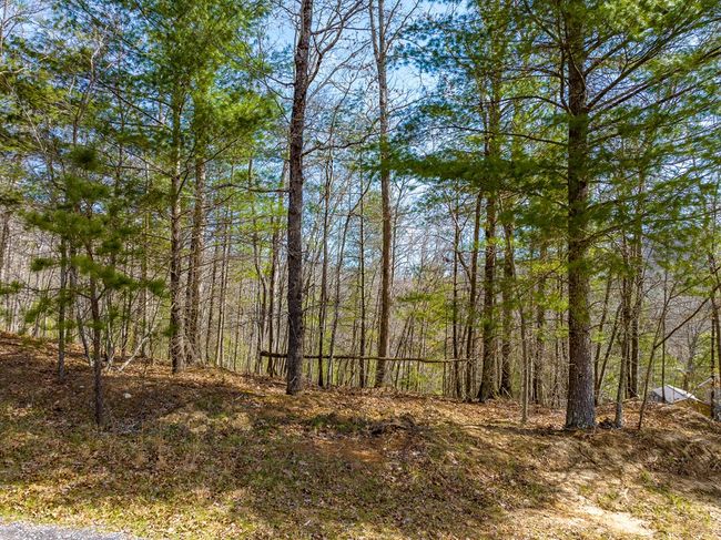 Lot 6 N Sunset Lane, Home with 0 bedrooms, 0 bathrooms and null parking in Bland VA | Image 22
