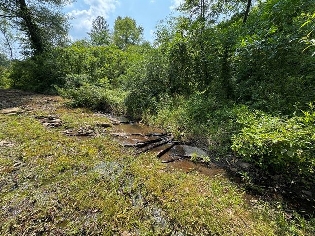 108 Hawn Dr, House other with 3 bedrooms, 2 bathrooms and null parking in Crab Orchard TN | Image 43