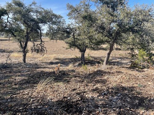 15 Avva Dr, Mountain Home, TX, 78058 | Card Image