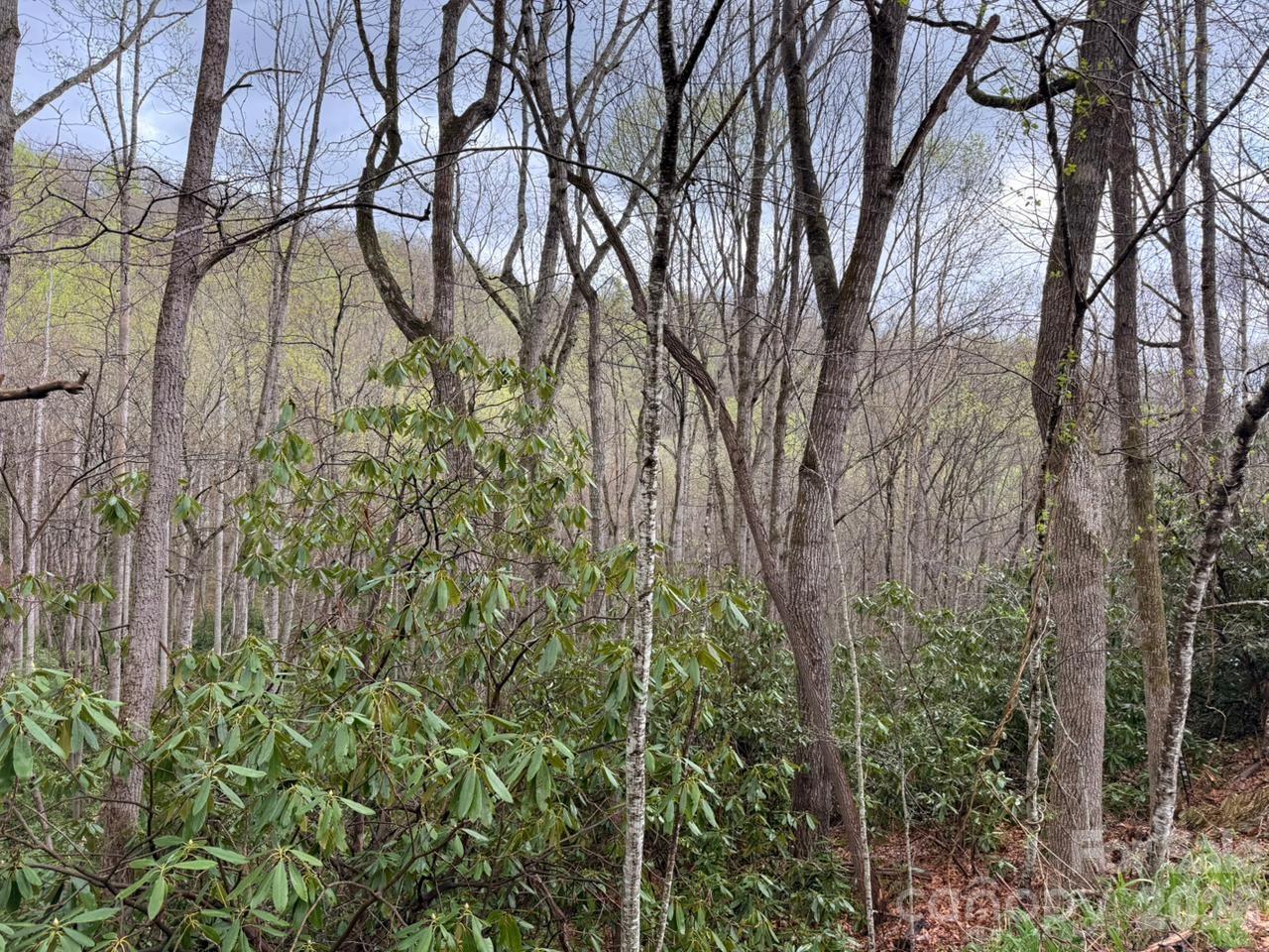 Land in Hendersonville 5