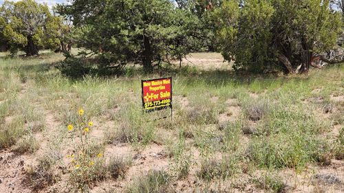 87 Warpath Rd, Quemado, NM, 87829-9006 | Card Image