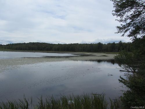 T/B/D Fraser Road, Thompson, NY, 12701 | Card Image