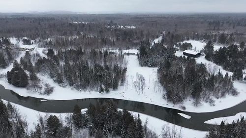 3681 Riverview Rd, Manton, MI, 49663-9389 | Card Image