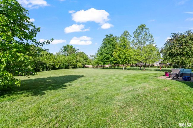 355 Partridge Pass, House other with 4 bedrooms, 3 bathrooms and null parking in Sherman IL | Image 40