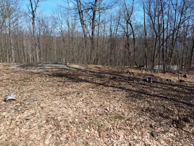 1023 Little Hawk Lake Rd, Home with 0 bedrooms, 0 bathrooms and null parking in Algonquin Highlands ON | Image 9
