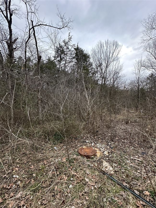 View of nature | Image 13