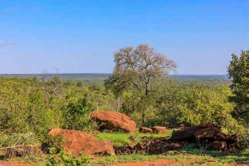 5-Lot 5 Art Hedwig Hill Rd, Mason, TX, 76856 | Card Image