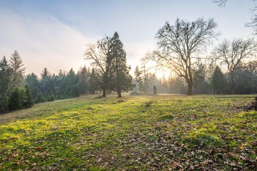4401 Fish Hatchery Rd, Grants Pass, OR, 97527-9594 | Card Image