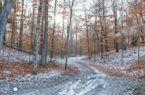 4181 Maple Hill Rd, Grawn, MI, 49637-9732 | Card Image