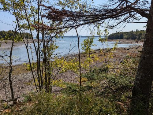 11234 Birch Point Road, Perry, ME, 04667 | Card Image