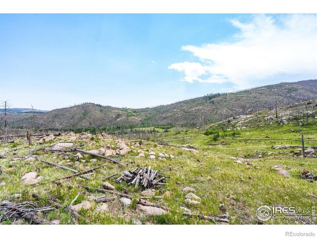 2384 Rist Creek Rd, Home with 0 bedrooms, 0 bathrooms and null parking in Bellvue CO | Image 26