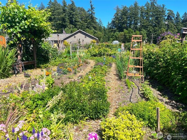 Anderson Island Community Gardens | Image 8