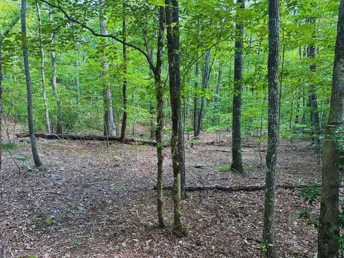 Lot 57 Asheland Cove Dr, Young Harris, GA, 30582 | Card Image