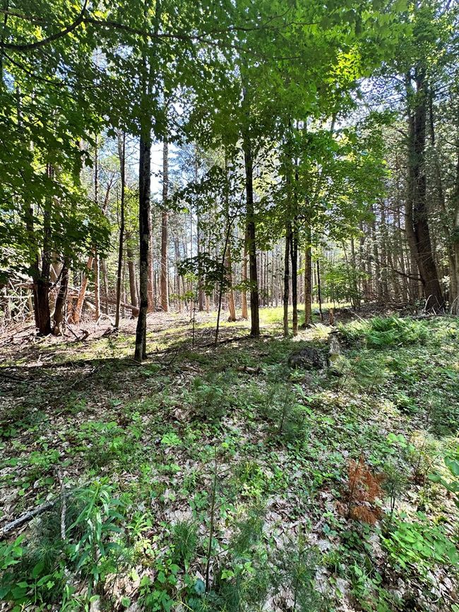0 Crowningshield Rd, Home with 0 bedrooms, 0 bathrooms and null parking in Wilmington NY | Image 4