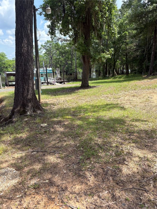 View of yard | Image 7