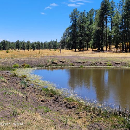 TBD Stone Creek Rd, Alpine, AZ, 85920 | Card Image