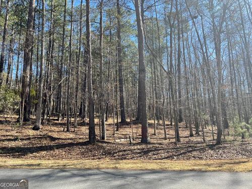 lot 149 Piedmont Lake Road, Pine Mountain, GA, 31822 | Card Image