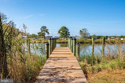 12239 Duck Ln, BISHOPVILLE, MD, 21813-1117 | Card Image