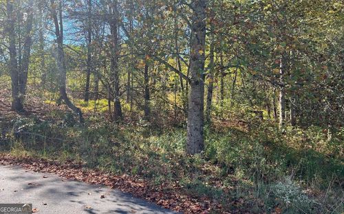 TR 1 & 2 Holland Dr, Young Harris, GA, 30582 | Card Image