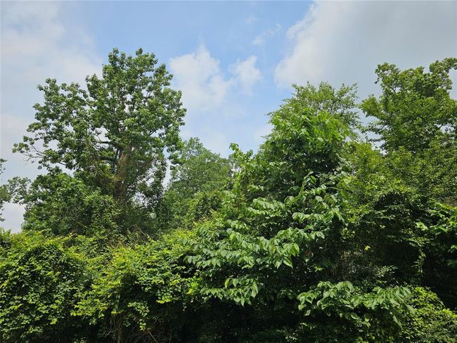 3 Broadmoor Ct, Home with 0 bedrooms, 0 bathrooms and null parking in Conroe TX | Image 4