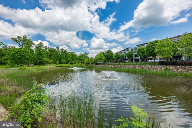20790 Duxbury Ter, Townhouse with 4 bedrooms, 4 bathrooms and null parking in ASHBURN VA | Image 67