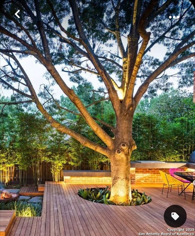 Ex. of a deck that could be built around the trees | Image 9