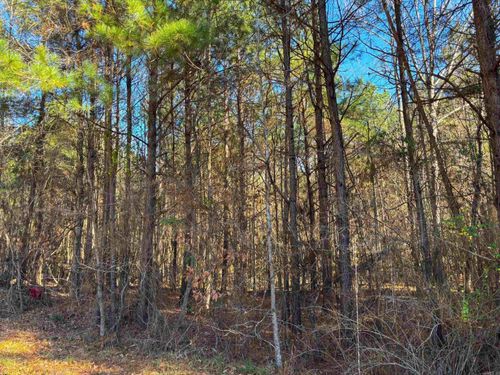 84 Grant 733, Sheridan, AR, 72150-6823 | Card Image